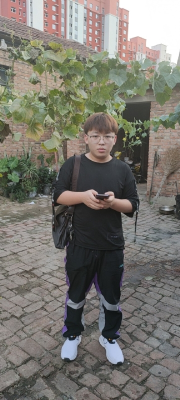 辛禹的第二张照片--景县王婆说媒